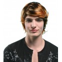 Perruque homme