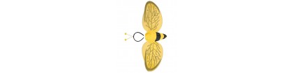 ailes abeille +  antenne