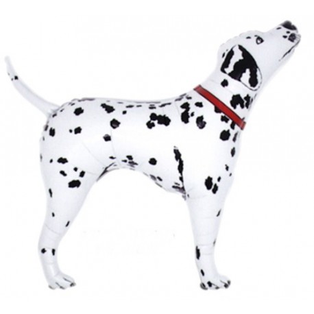 Ballon dalmatien