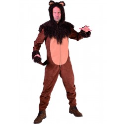 Costume de lion