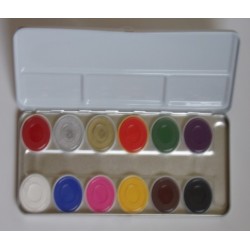 Palette maquillage 12 couleurs