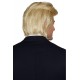 Perruque donald