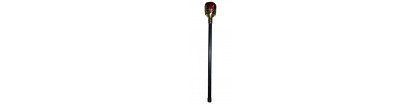 Sceptre de roi