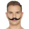 Moustache anglaise