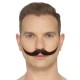 Moustache anglaise brune