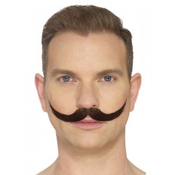 Moustache anglaise brune