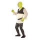 Shrek adulte homme