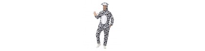 Dalmatien adulte