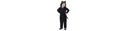 Chat noir halloween