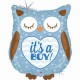 Ballon naissance hibou