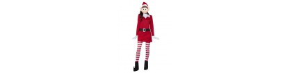 Lutin femme noel