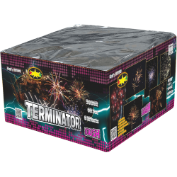 Terminator Batterie
