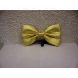 Noeud papillon or